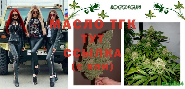 мдпв Козельск