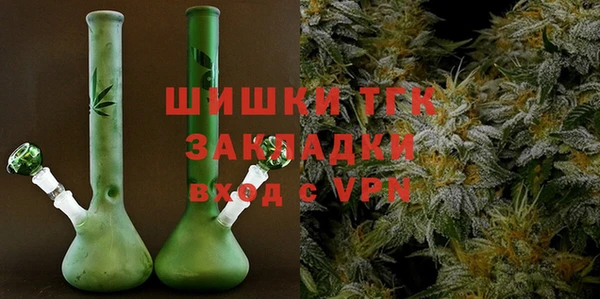 мдпв Козельск