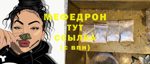 мдпв Козельск